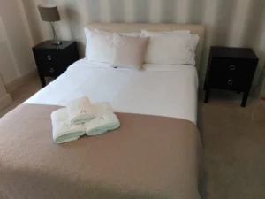 Domestic Cleaning London